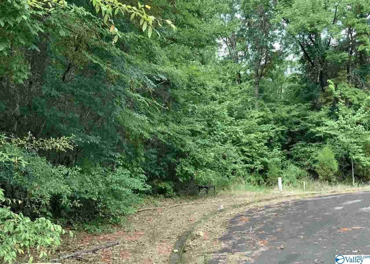 Lot 19 Cade Circle - Photo 1
