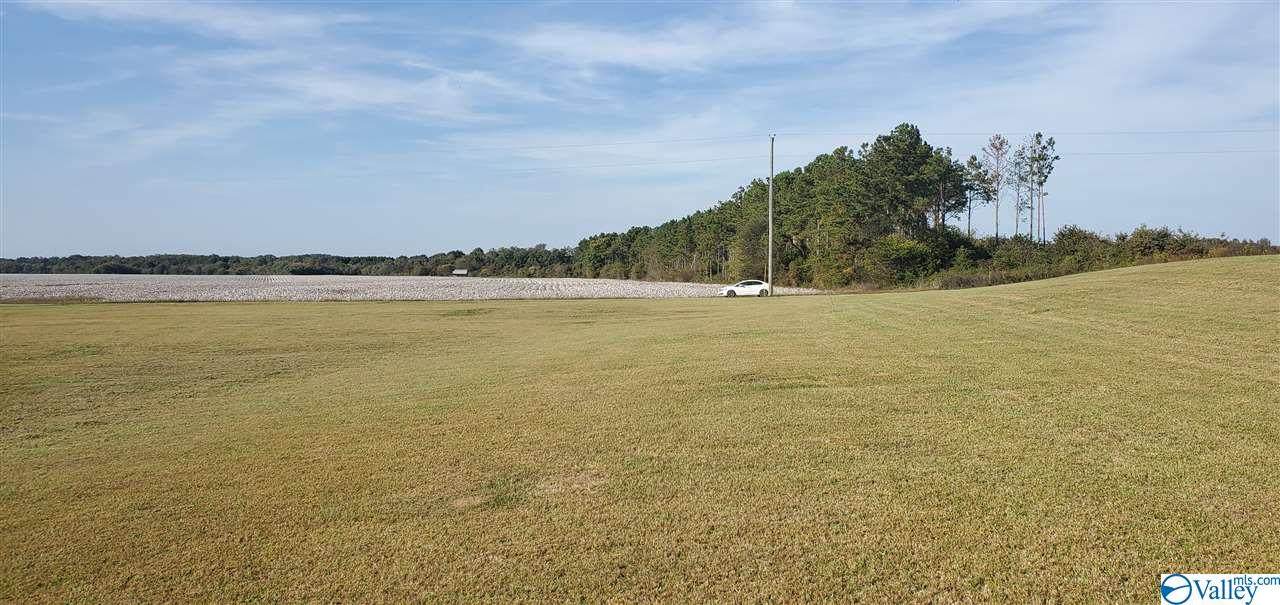 lot 34 County Road 1042 - Photo 1