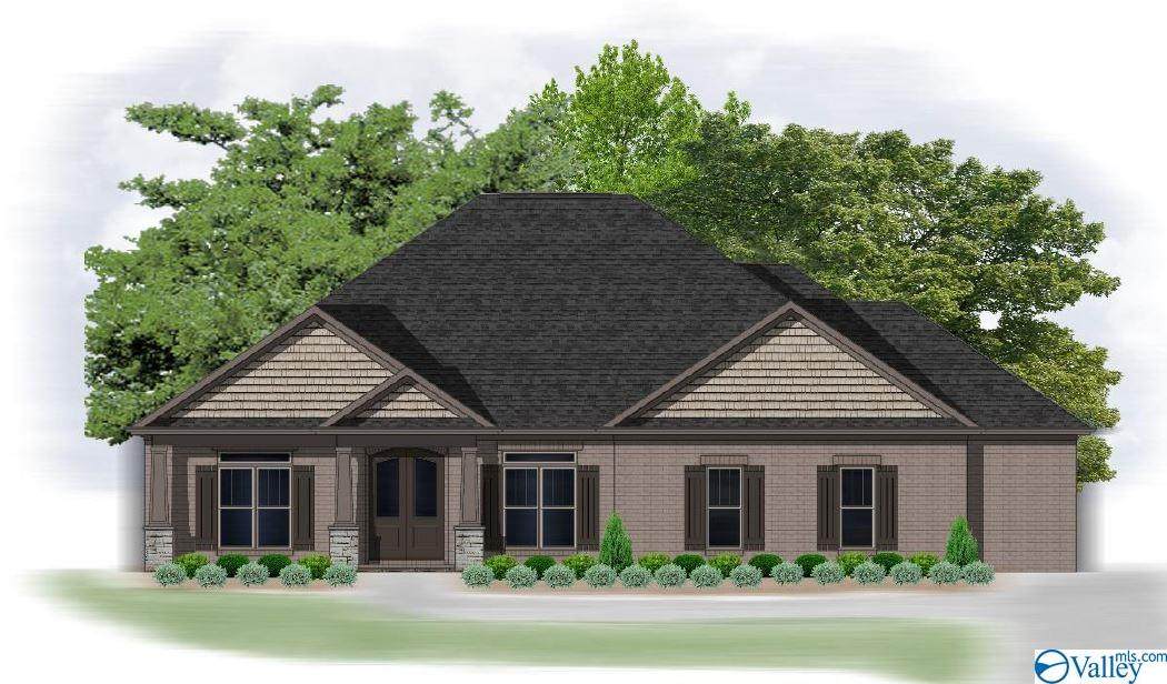 105 Goose Hill Bend - Photo 1