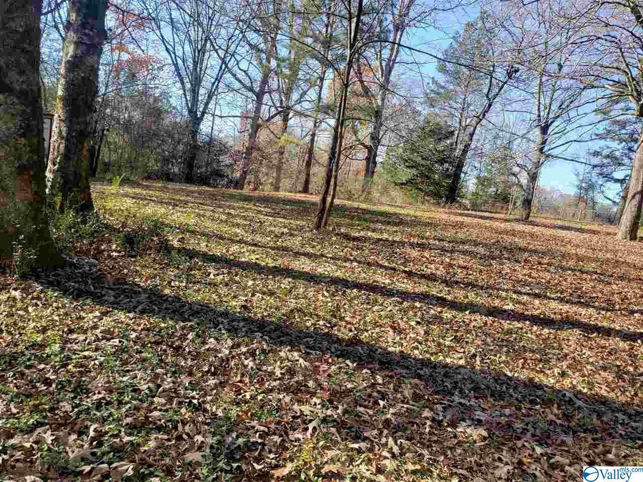 00 County Road 582 - Photo 1