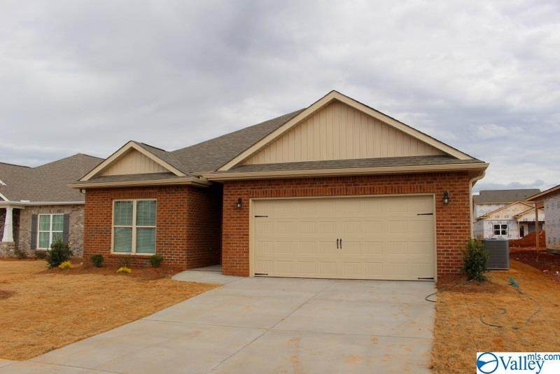 12910 Tallulah Drive - Photo 1