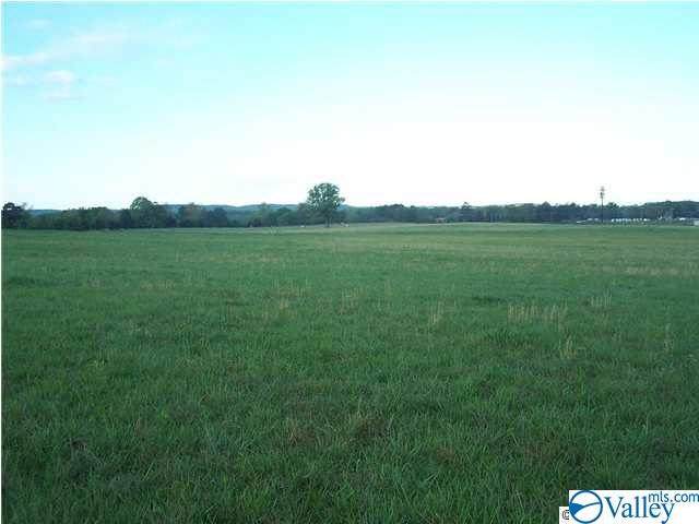 Lot 1 County Road 55 - Photo 1
