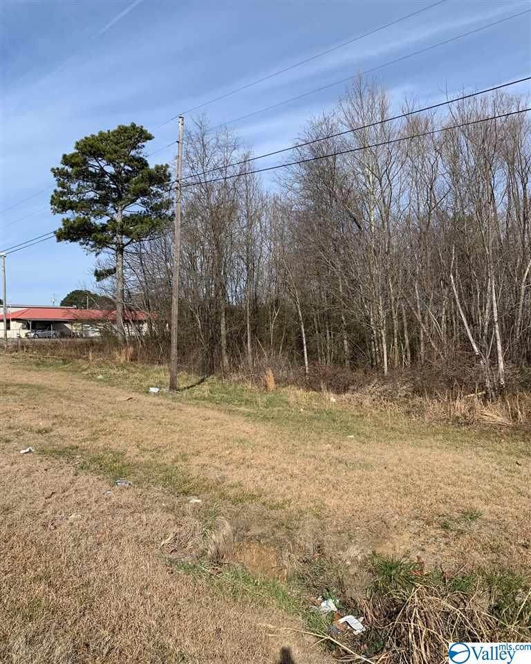 0 Highway 431 - Photo 1