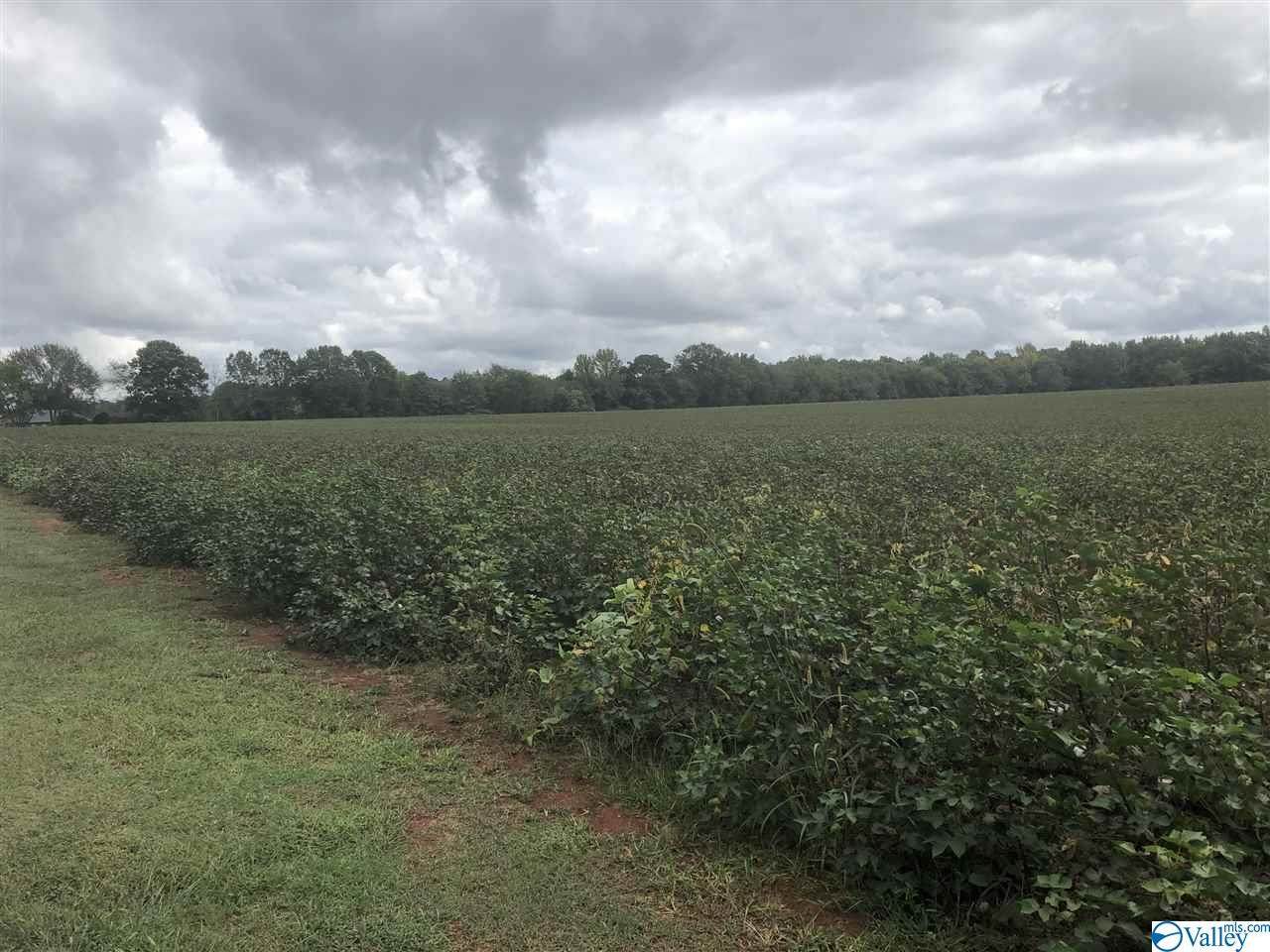 TRACT 2 Nix Road - Photo 1
