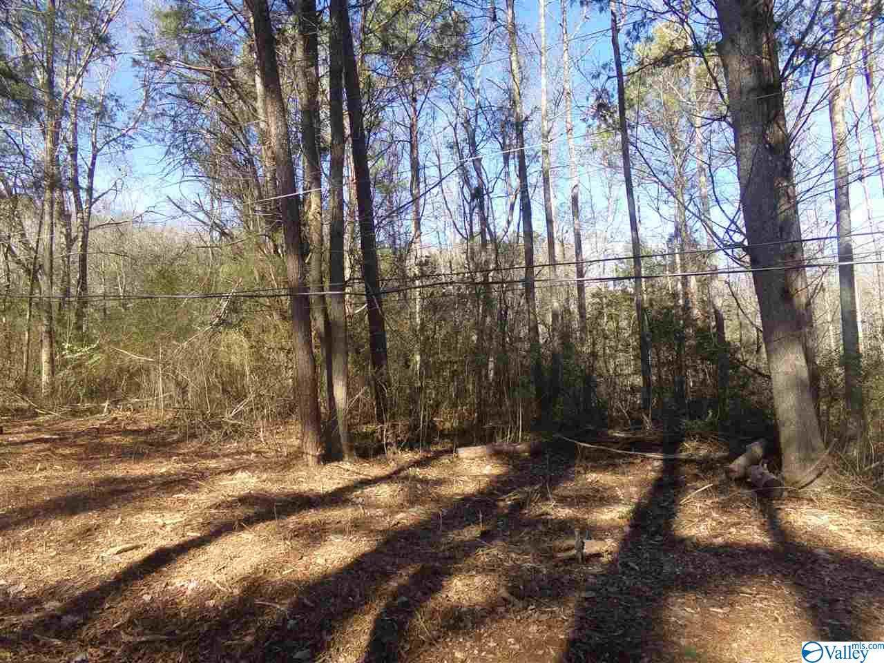 0 Dunsmore Drive - Photo 1