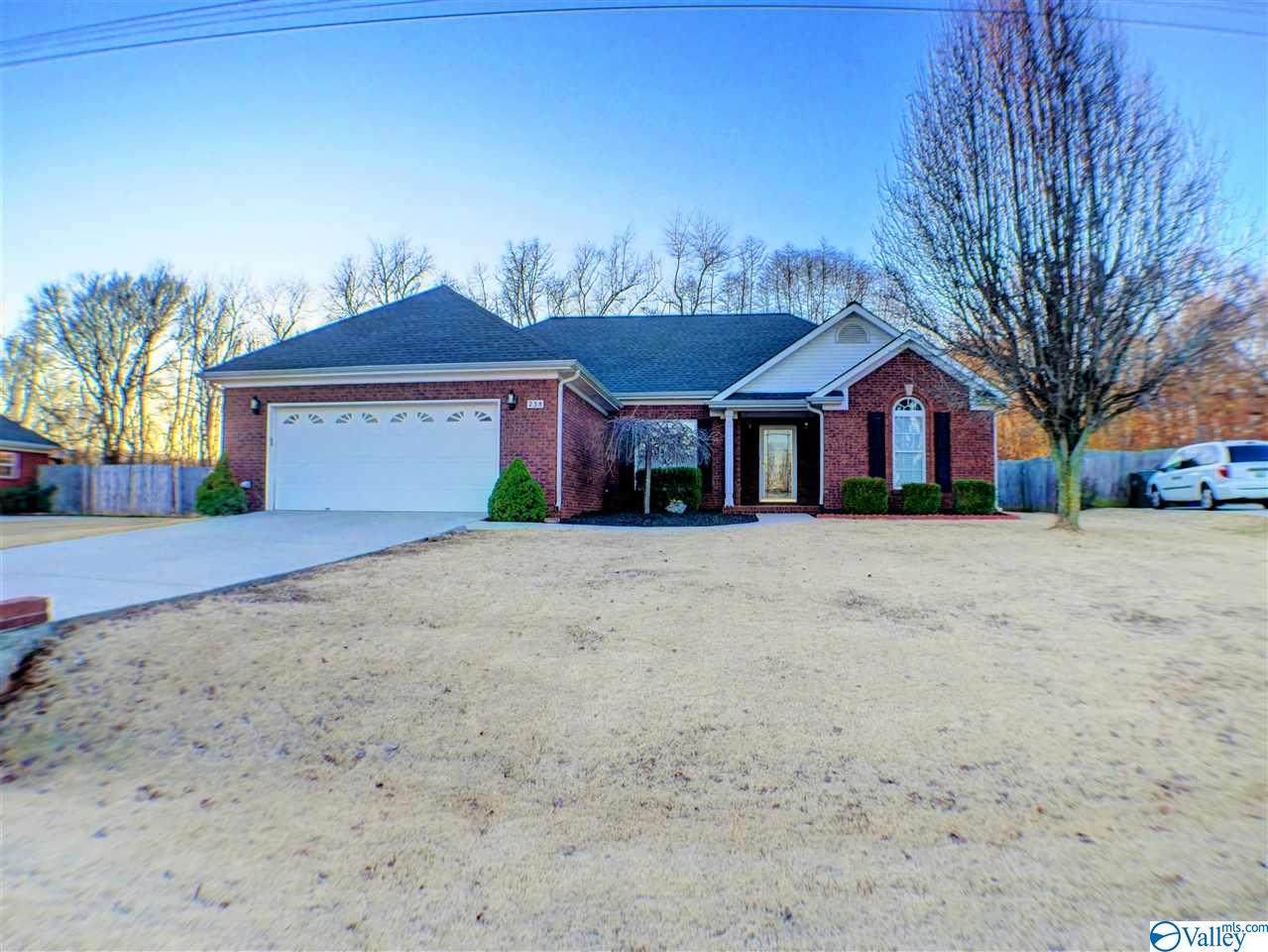 238 Morning Star Drive - Photo 1