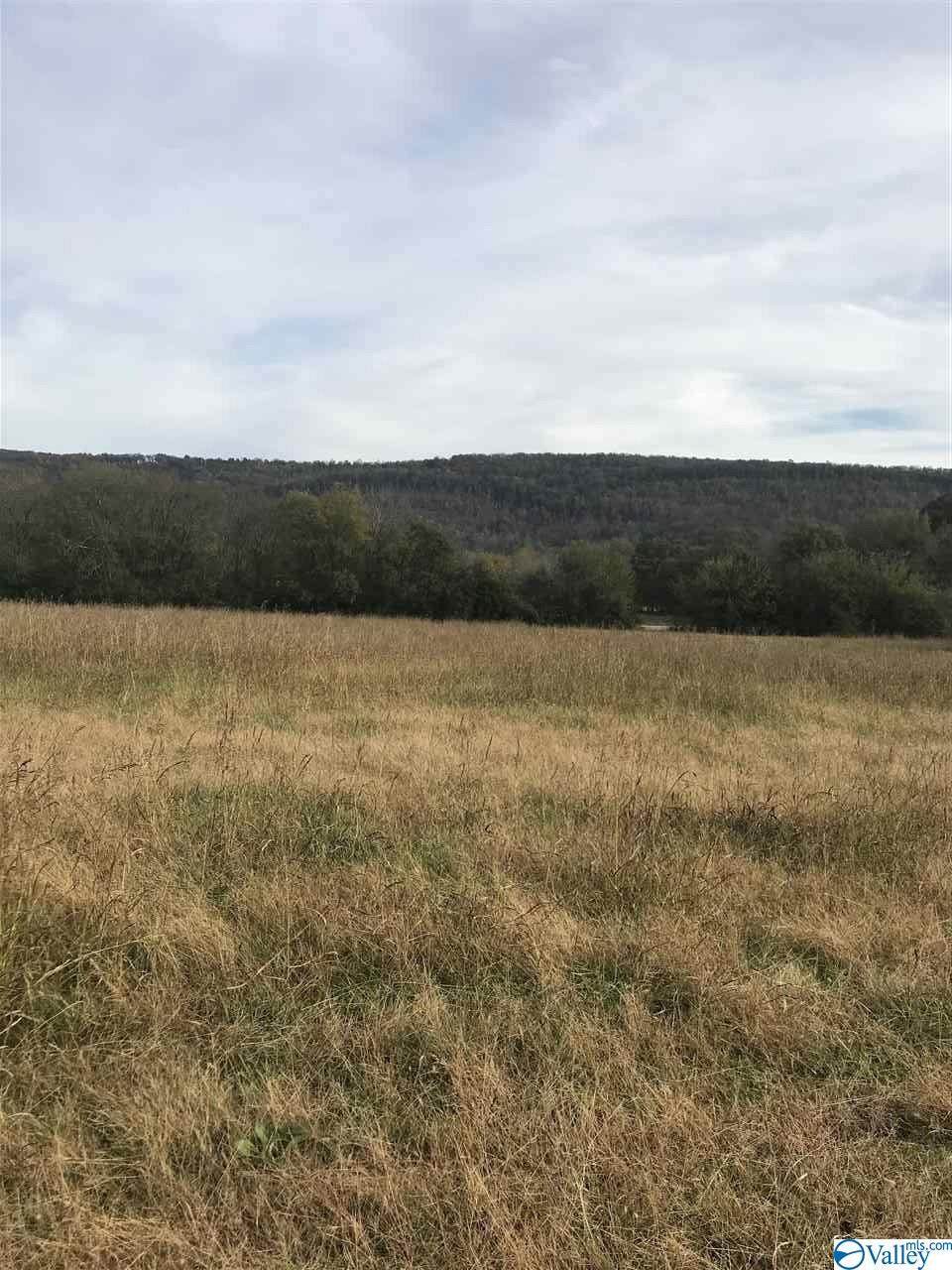 7104 Hwy 11 - Photo 1