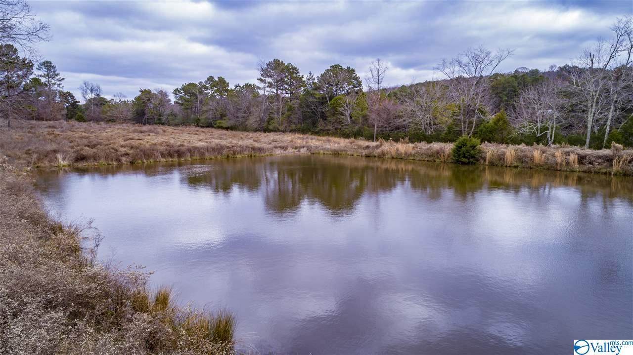 County Road 608 - Photo 1