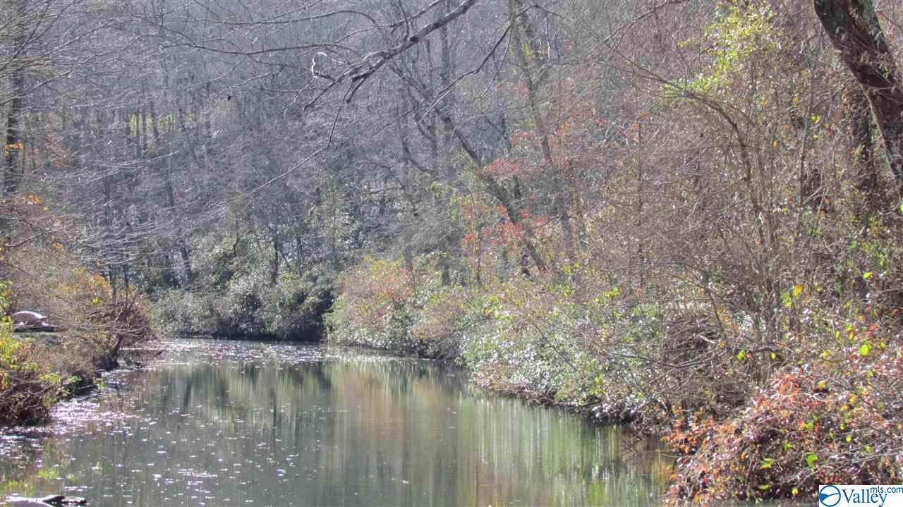 0000 County Road 103 - Photo 1