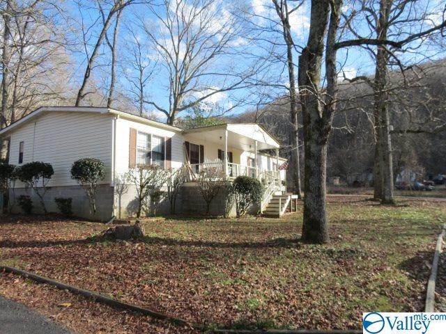 669 Horse Cove Road - Photo 1