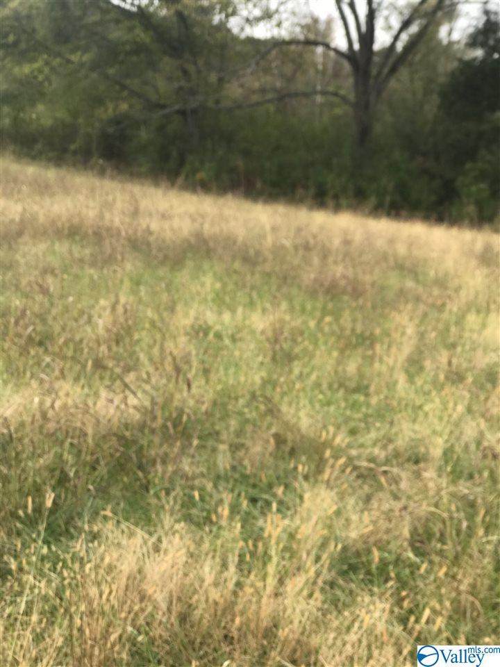7102 Hwy 11 - Photo 1