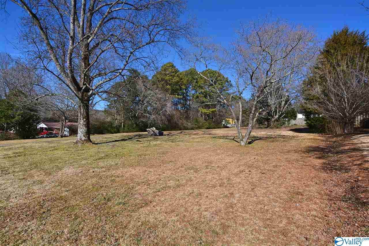 1405 Drake Avenue - Photo 1