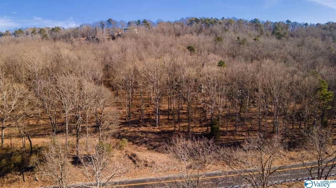 00 Alabama Hwy 35 - Photo 1