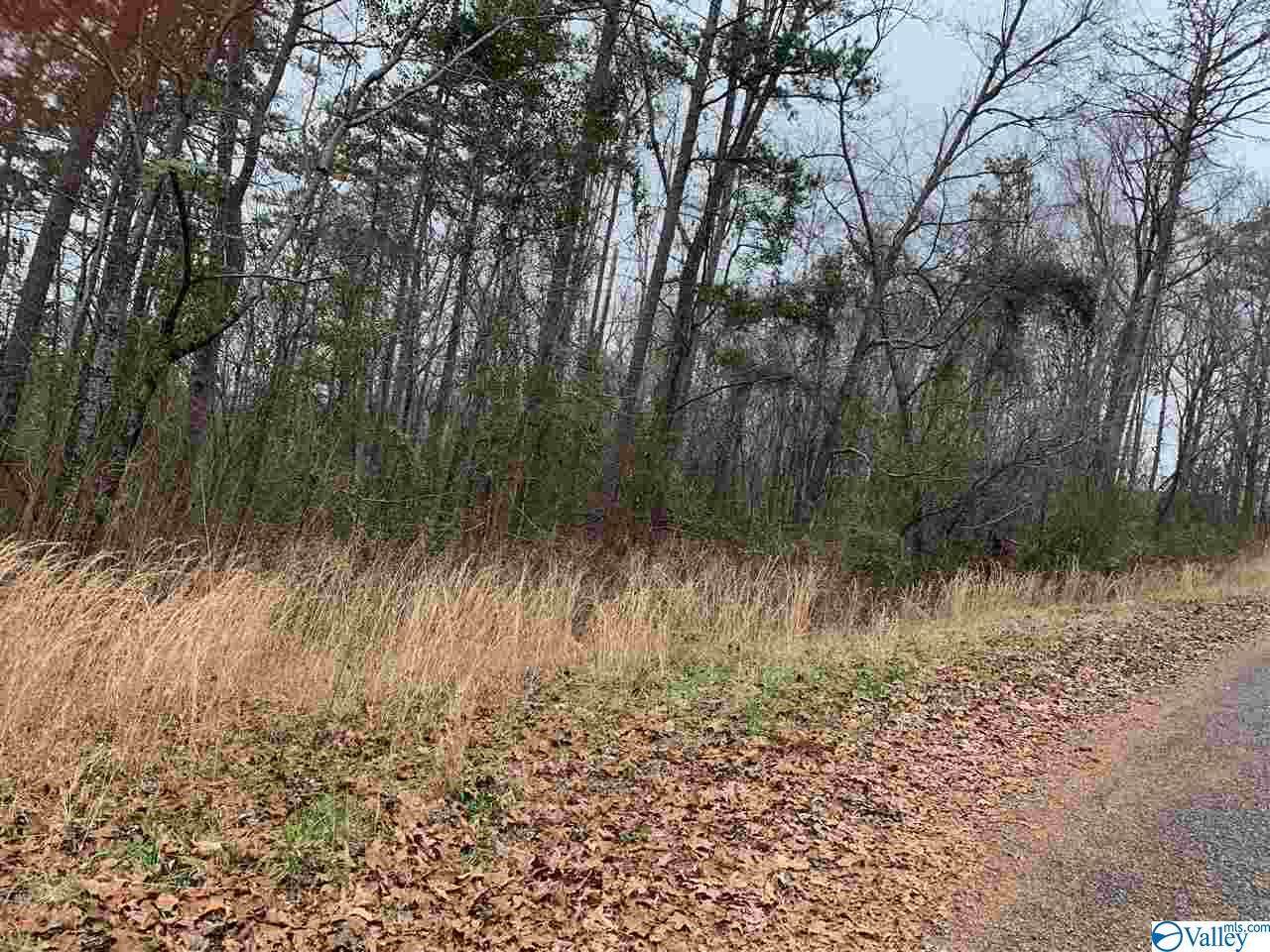 0 Heritage Drive - Photo 1