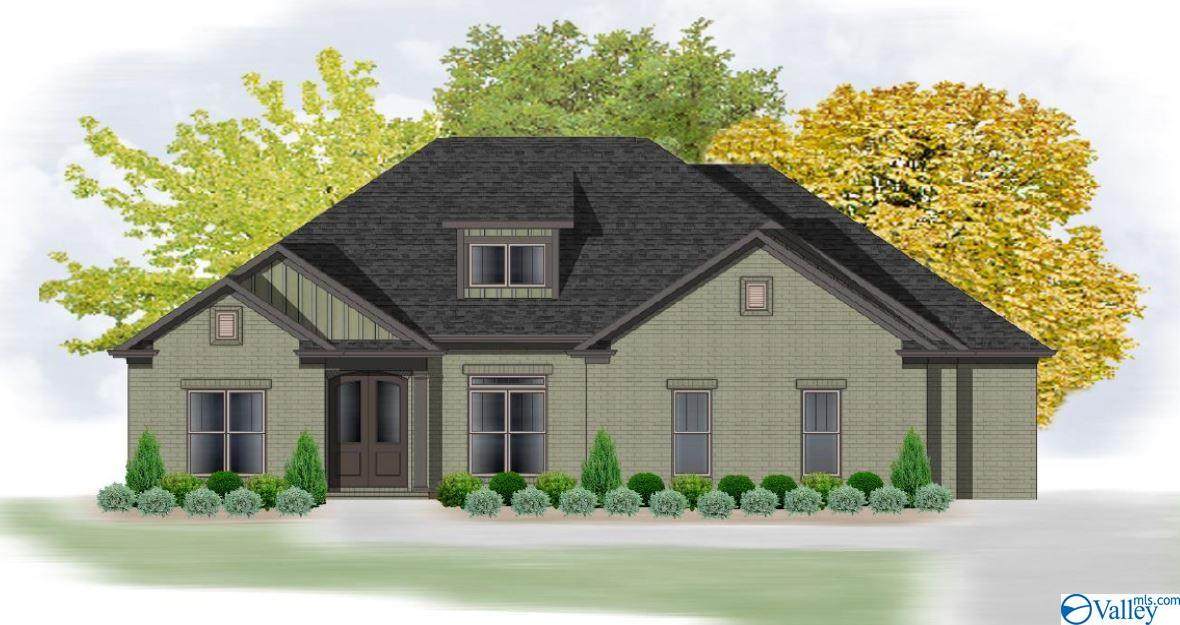 101 Goose Hill Bend - Photo 1