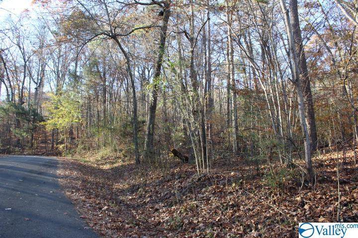 00 Tomahawk Circle - Photo 1