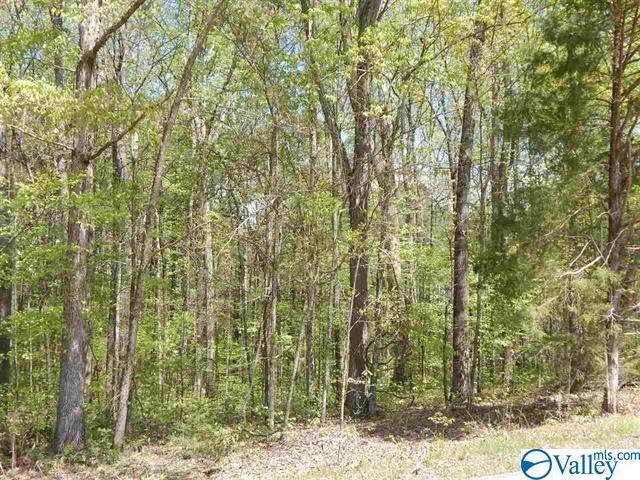 000 Rivermont Bend - Photo 1
