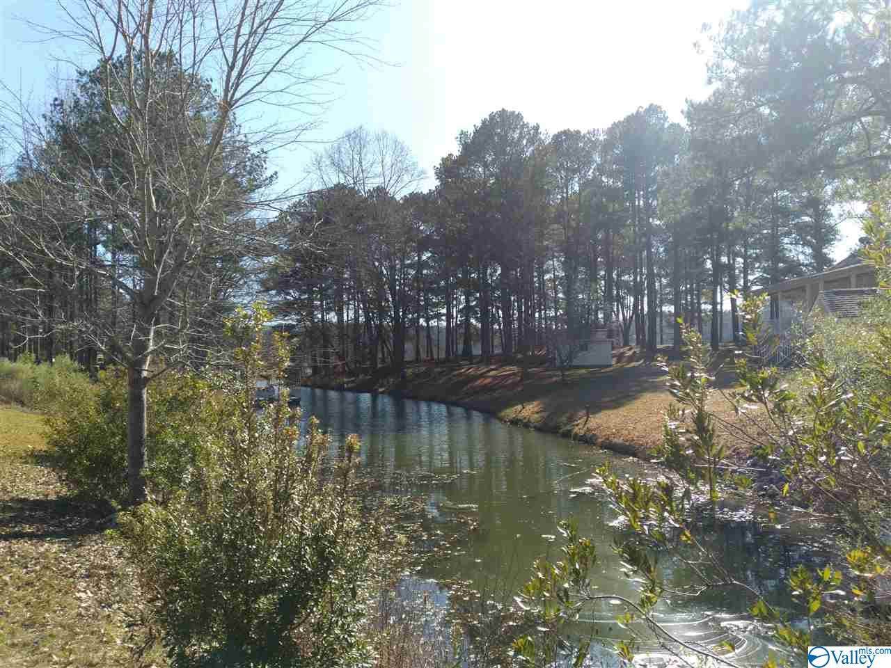 (N/A) Sarah Baker Drive - Photo 1