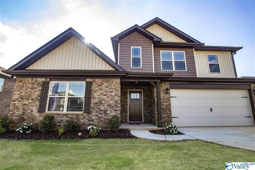 217 Maggie Mance Lane - Photo 1