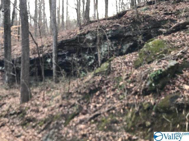 00 Sleepy Hollow Drive - Photo 1