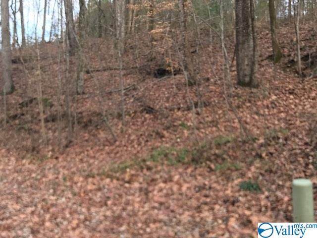 0 Sleepy Hollow Drive - Photo 1