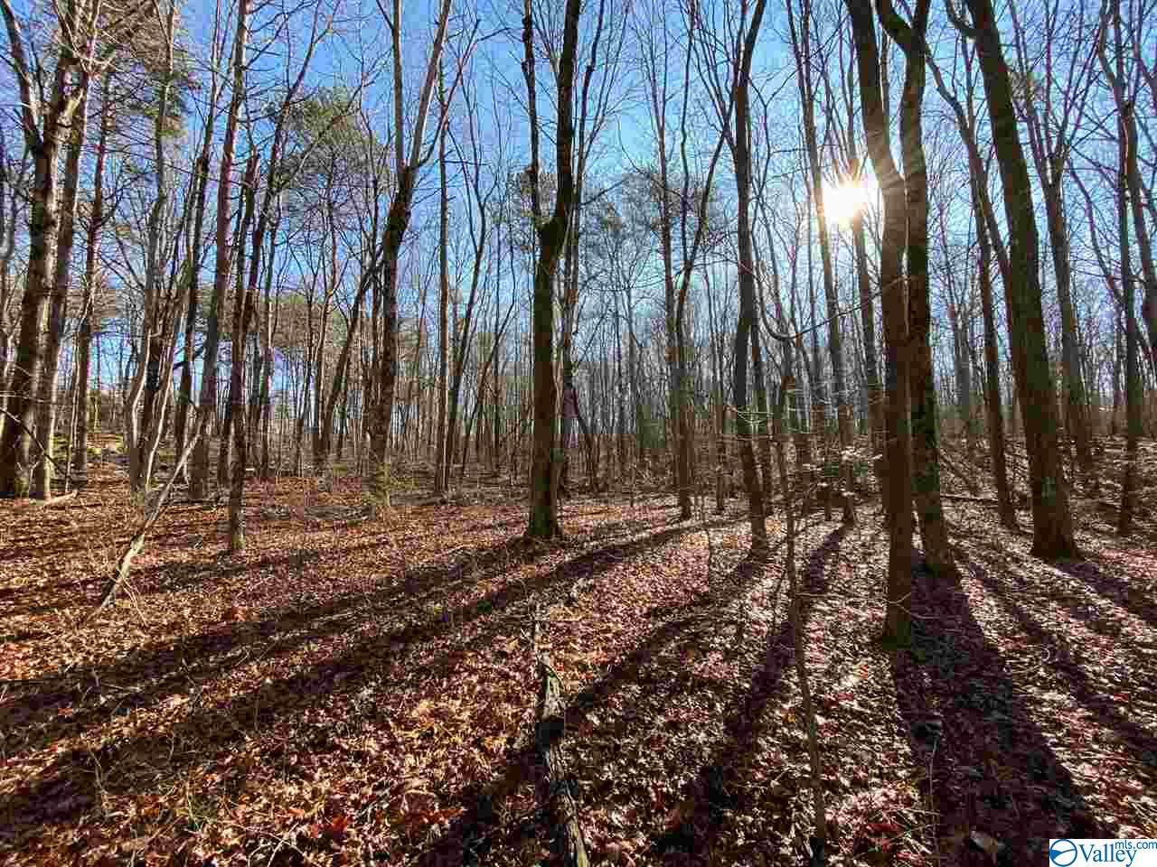7 Lookout Drive - Photo 1