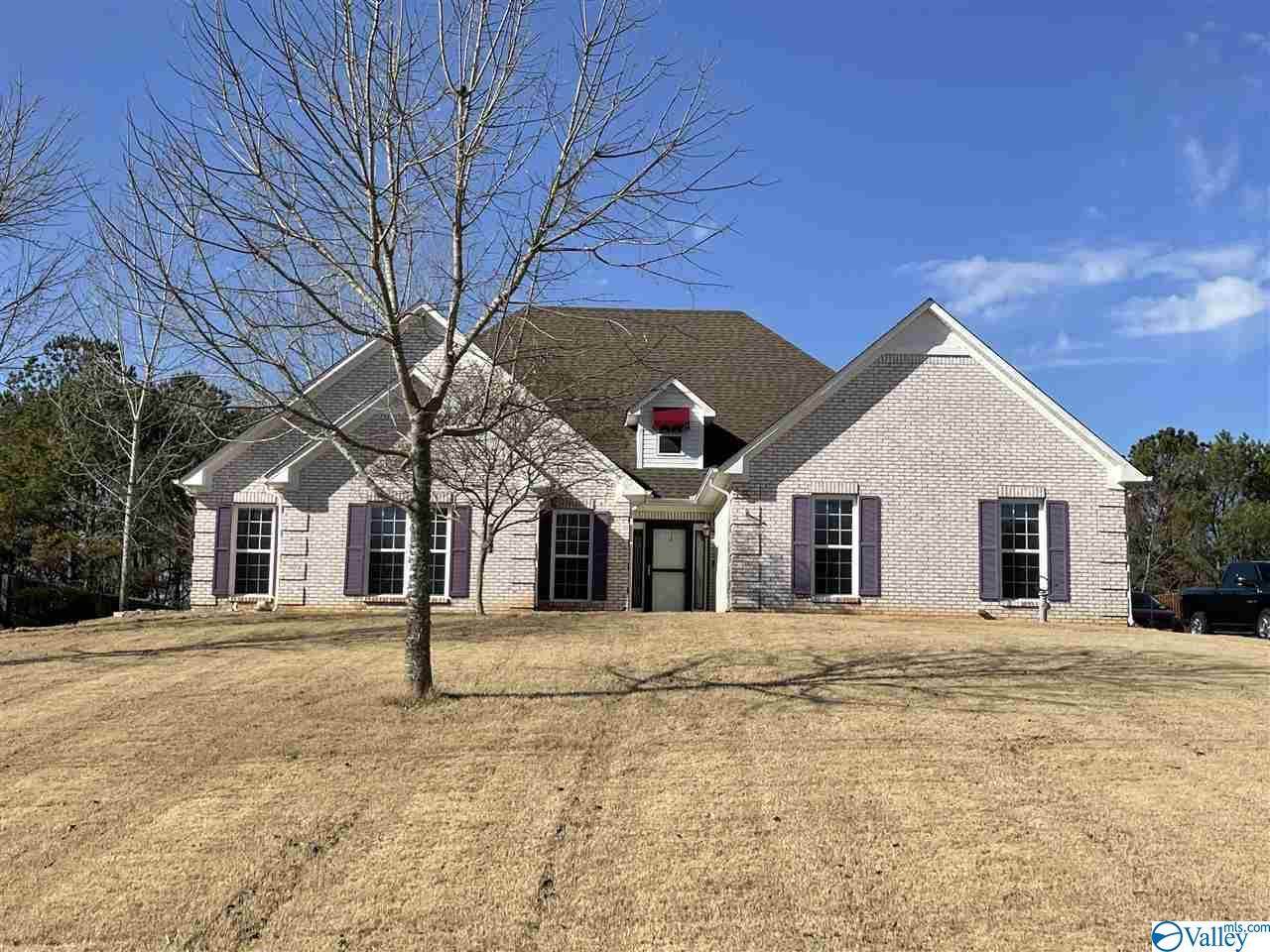 24787 Blossom Lane - Photo 1