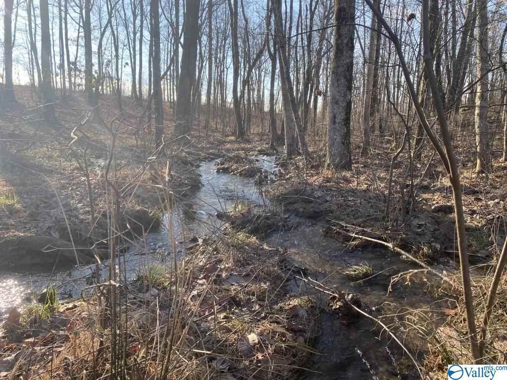 0 River Bluffs Drive - Photo 1