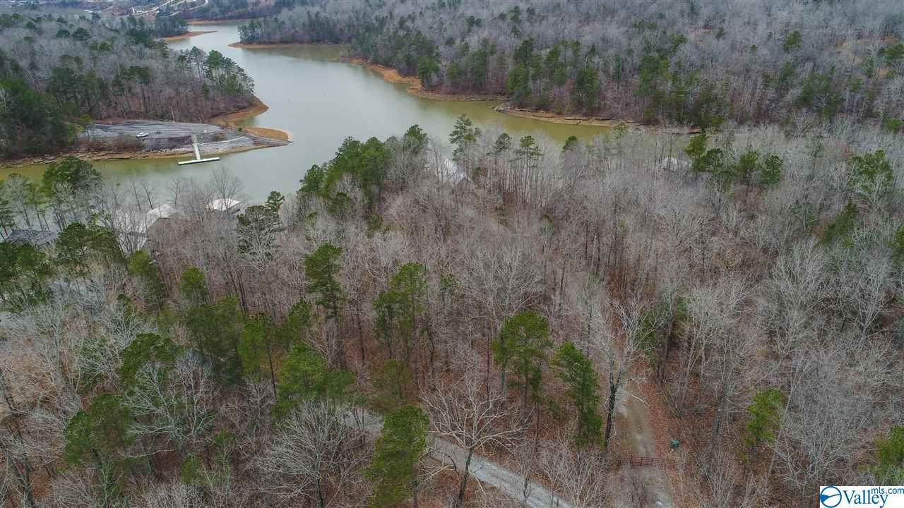 1010 County Road 82 - Photo 1