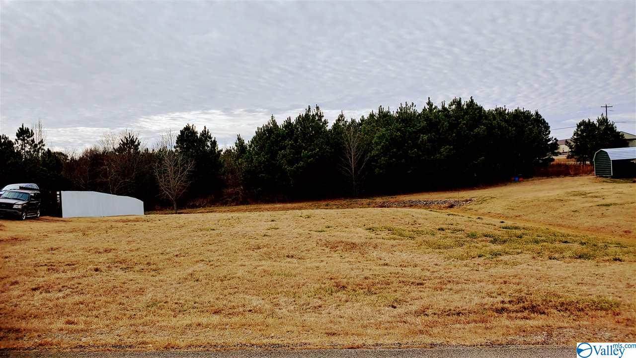 13 Kaylee Loop Road - Photo 1