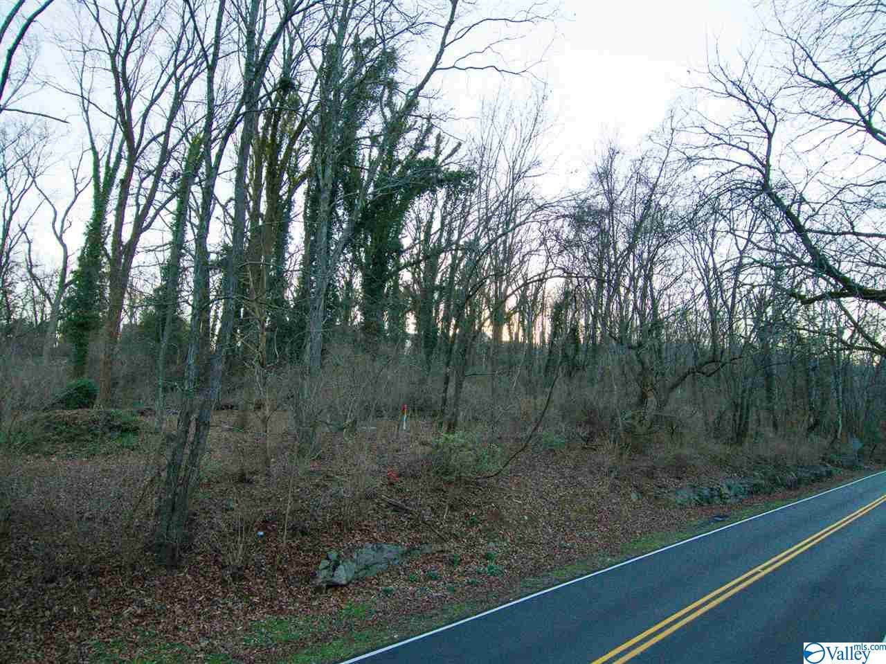 0 Bankhead Parkway - Photo 1