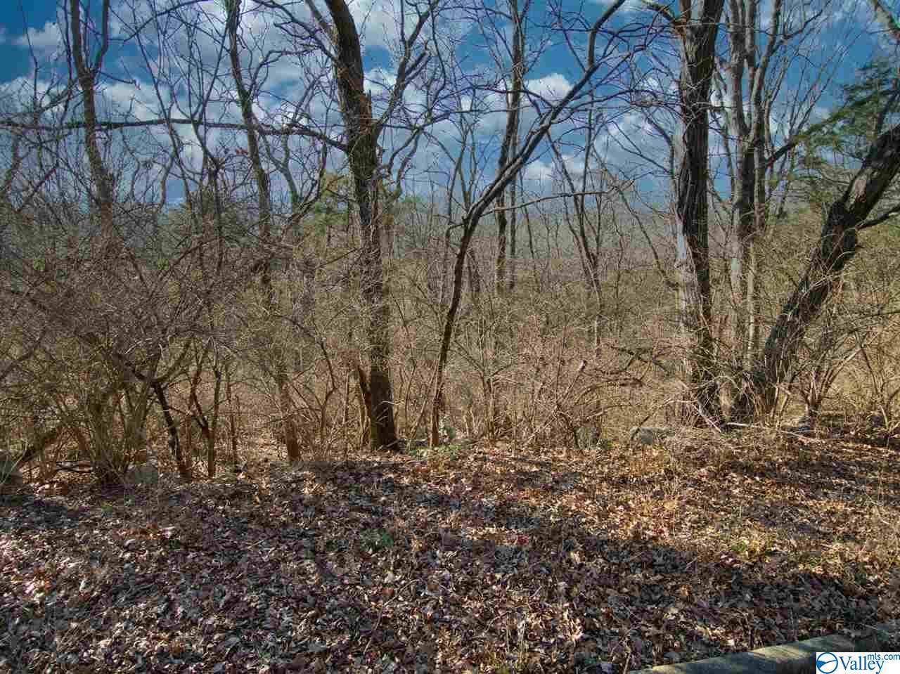 2212 Georgian Drive - Photo 1