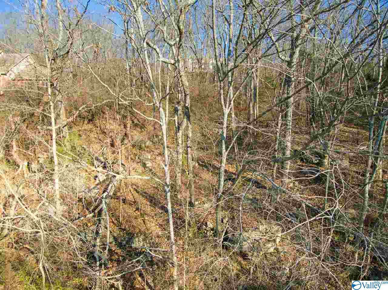 2225 Georgian Drive - Photo 1