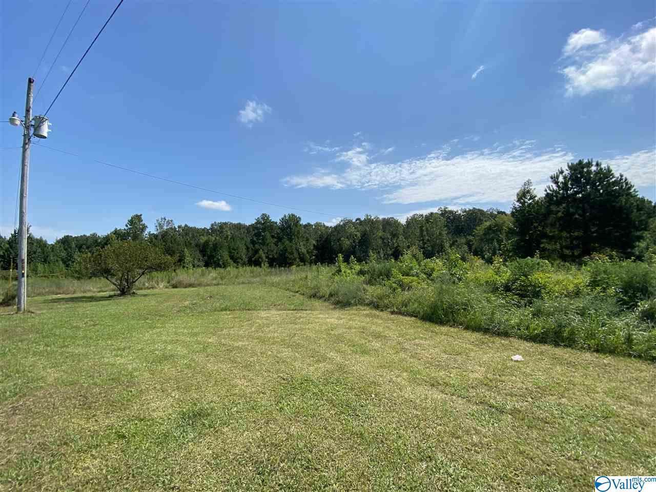 1446 County Road 246 - Photo 1