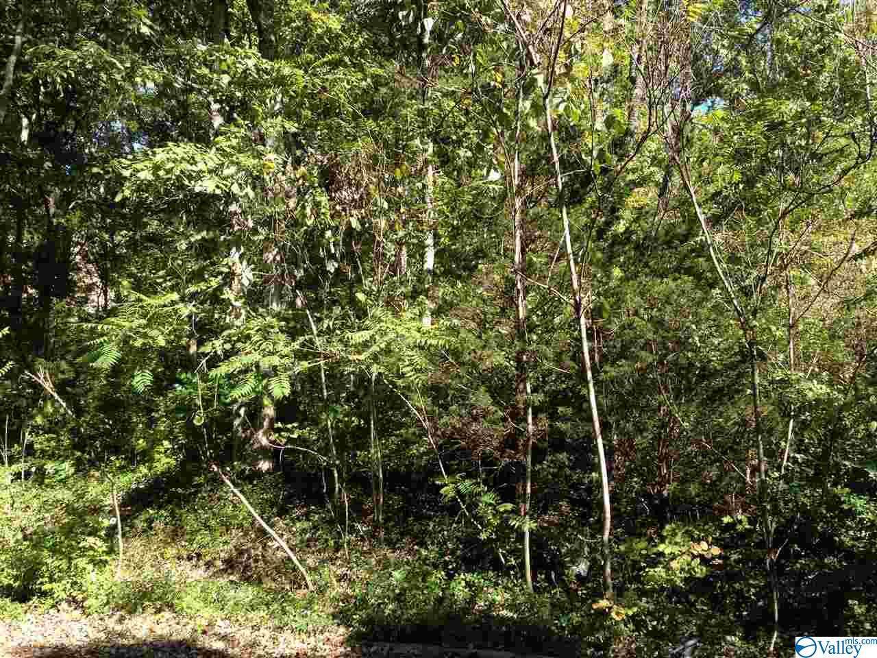 6319 Havenwood Drive - Photo 1