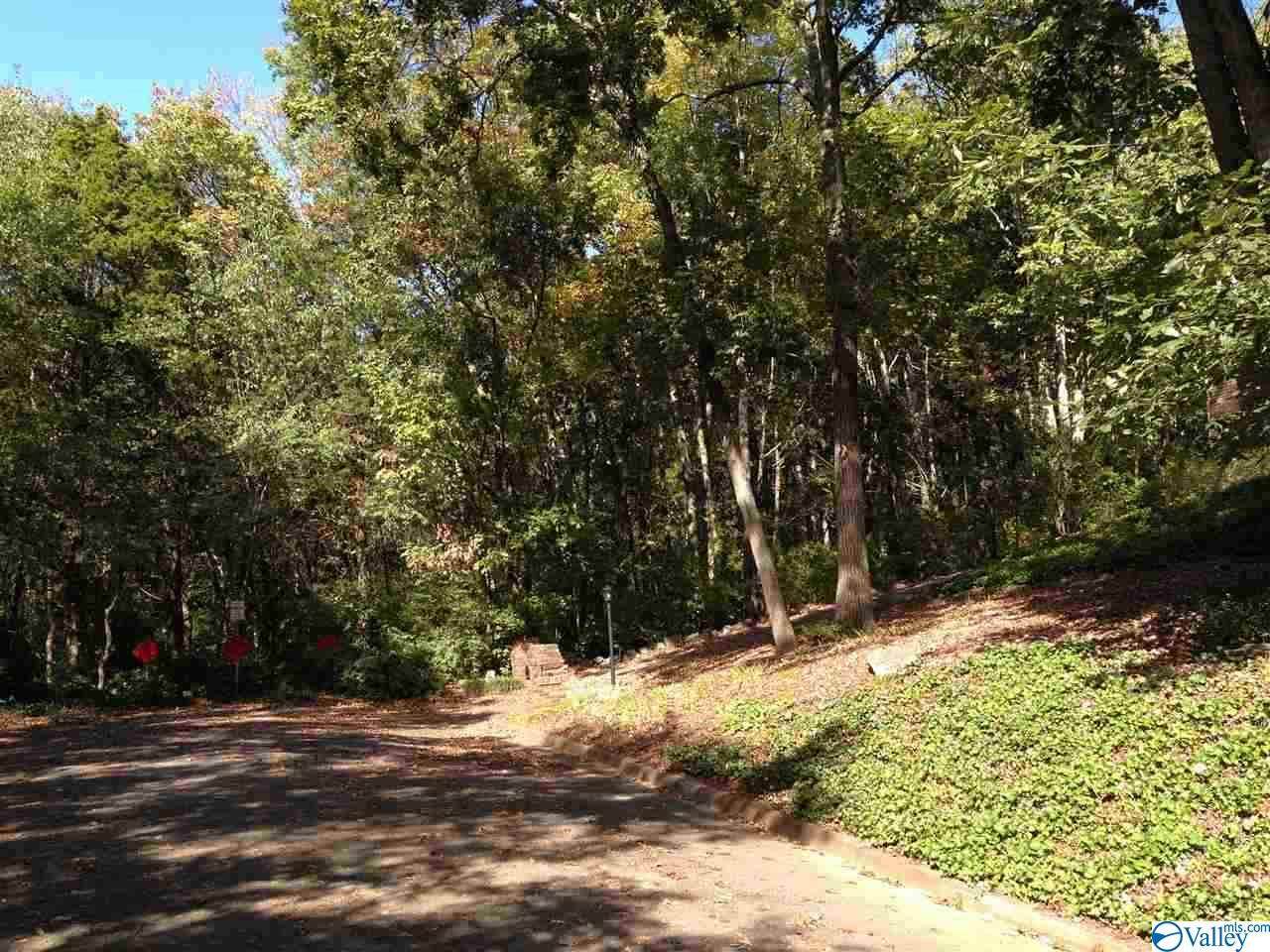 0 Havenwood Drive - Photo 1