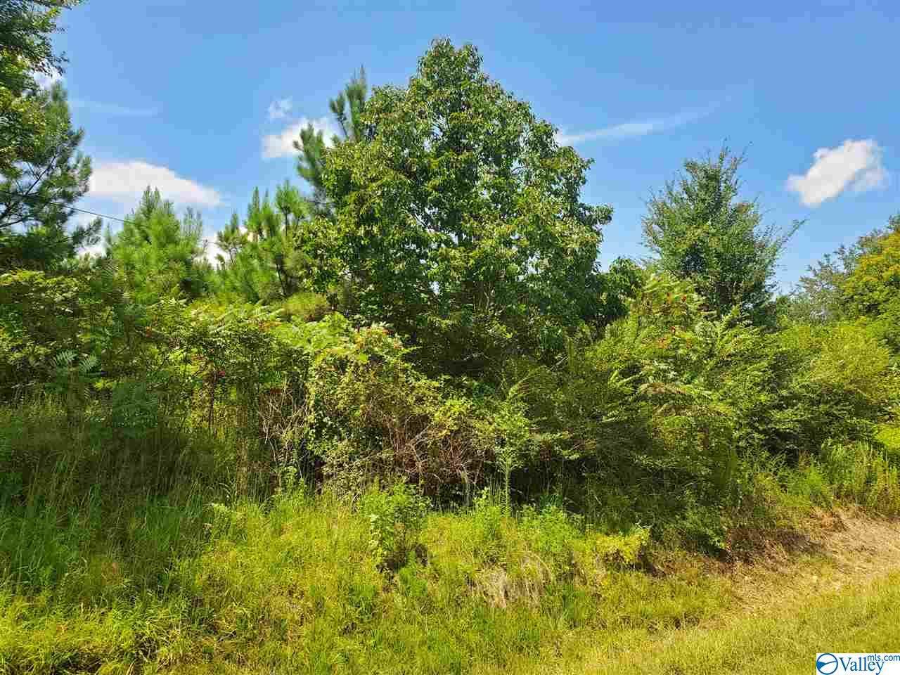 000 County Road 822 - Photo 1
