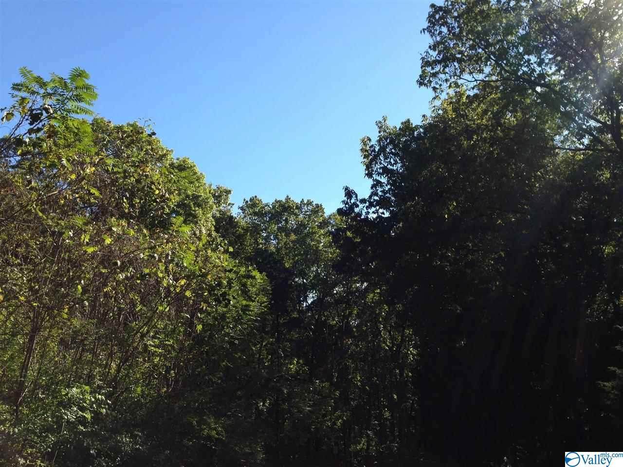 6321 Havenwood Drive - Photo 1