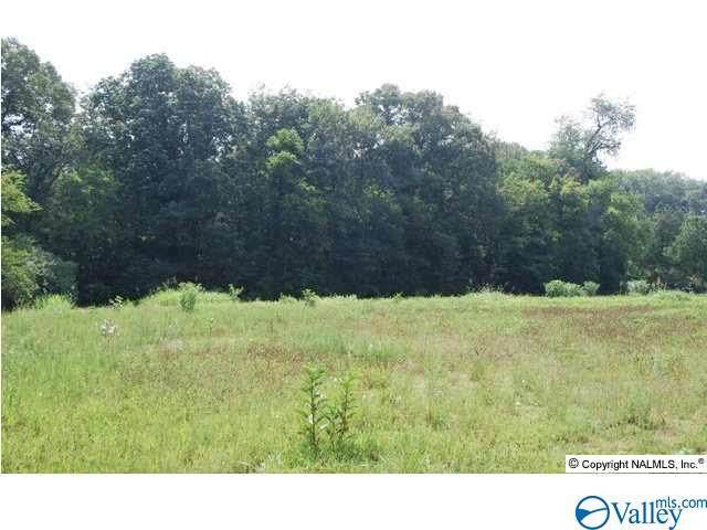 3304 Old Monrovia Road - Photo 1