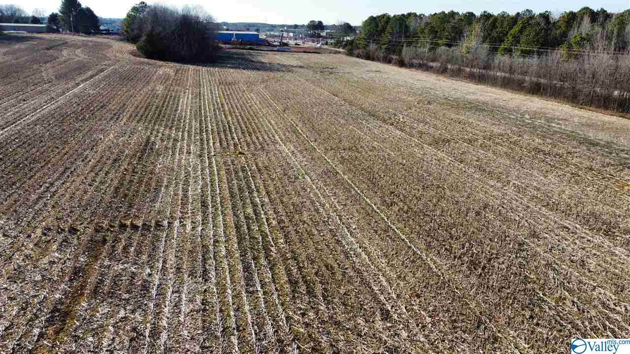 0 Hwy 53/Dan Tibbs Road - Photo 1