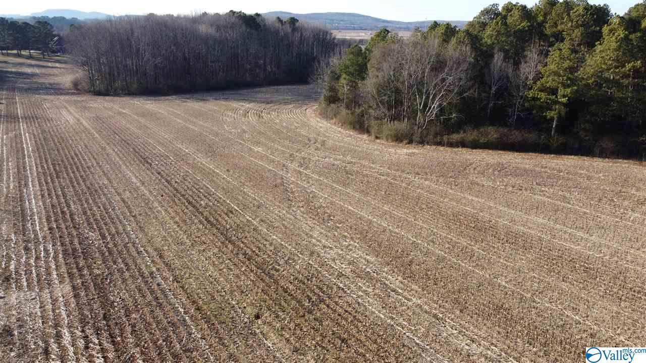 000 Kelly Cemetery Road - Photo 1