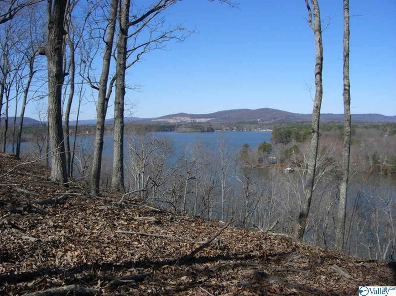 564 Monte Sano Drive - Photo 1