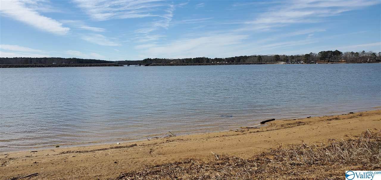 Lot 11 County Road 1011 - Photo 1