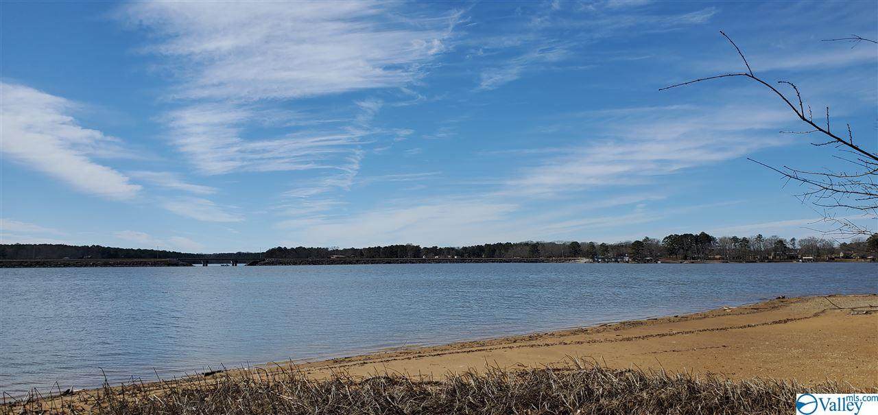 Lot 10 County Road 1011 - Photo 1