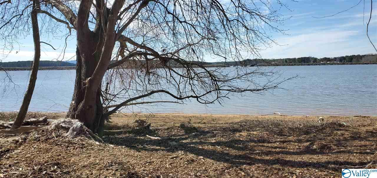 Lot 9 County Road 1011 - Photo 1