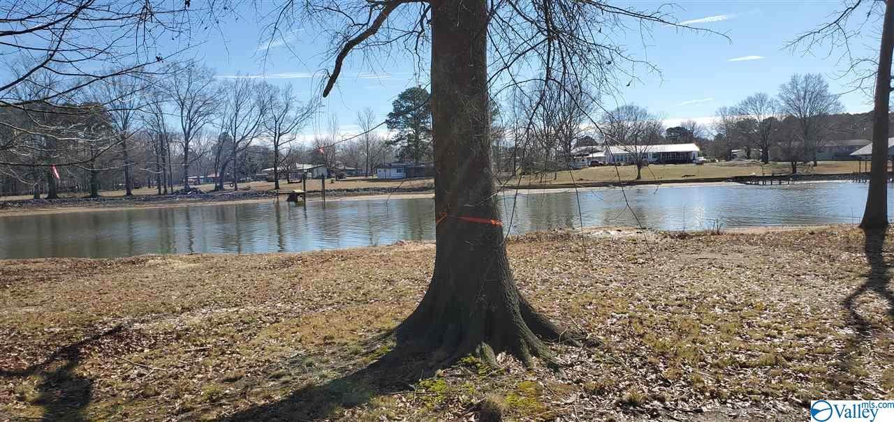 Lot 6 County Road 1011 - Photo 1