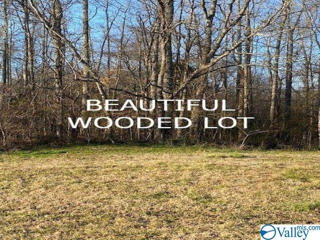 353 Buffalo Creek Drive - Photo 1