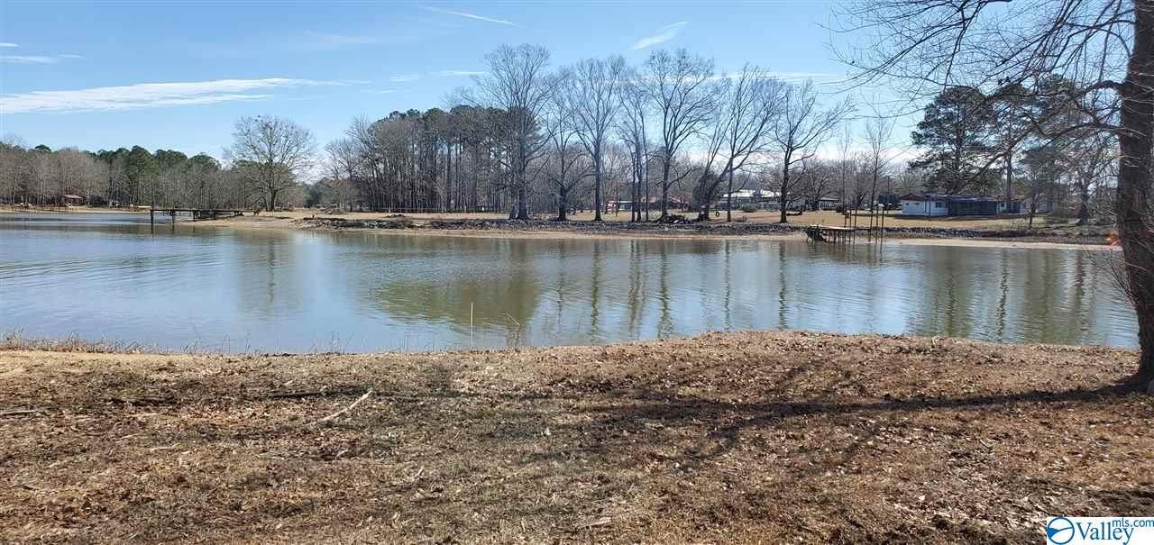 Lot 3 County Road 1011 - Photo 1