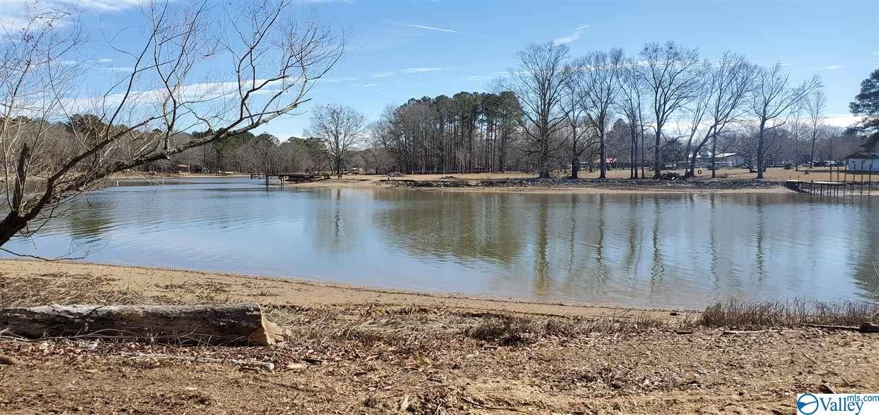 Lot 1 County Road 1011 - Photo 1