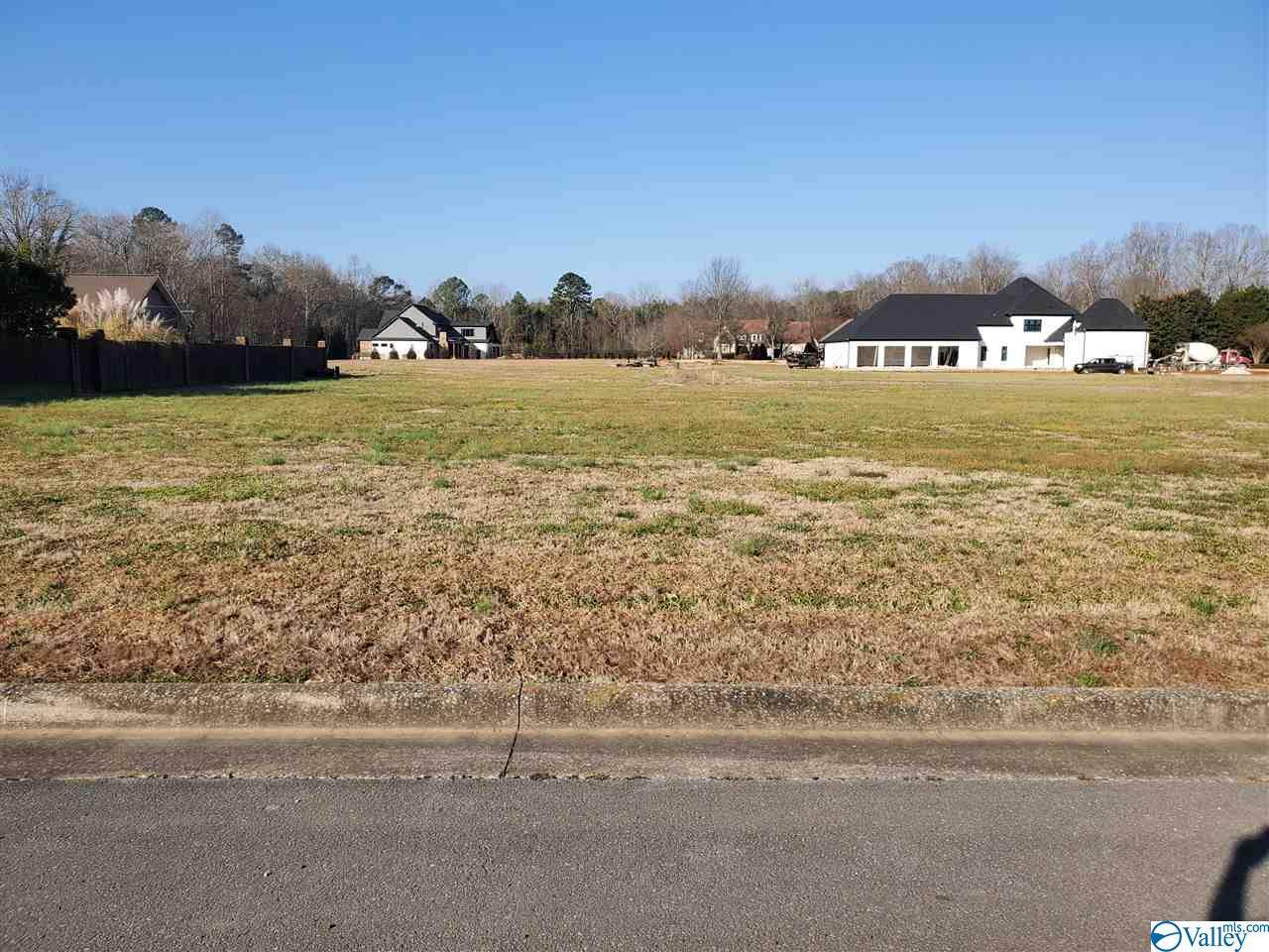206 Briarwood Circle - Photo 1